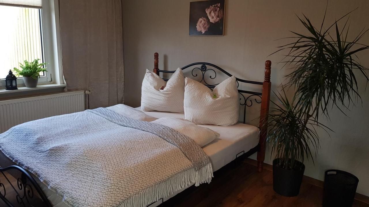 Ferienwohnung Malu Sol Im Harz - Stilvoll, Gemuetlich, Tierfreundlich - Mit Garten อัลโรเดอ ภายนอก รูปภาพ
