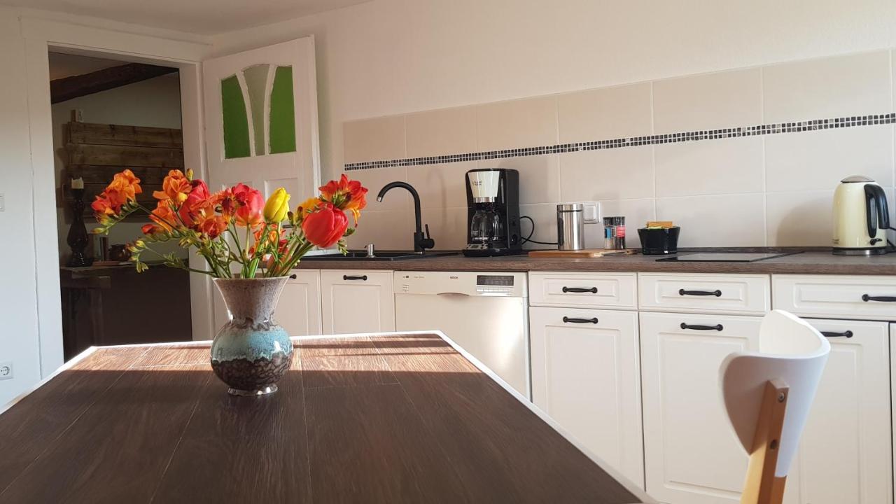 Ferienwohnung Malu Sol Im Harz - Stilvoll, Gemuetlich, Tierfreundlich - Mit Garten อัลโรเดอ ภายนอก รูปภาพ