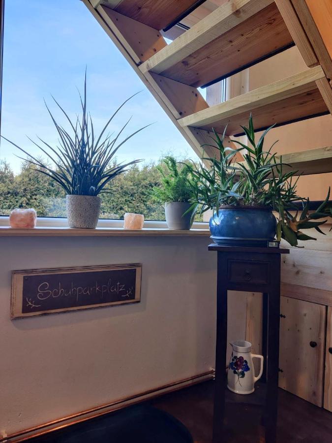 Ferienwohnung Malu Sol Im Harz - Stilvoll, Gemuetlich, Tierfreundlich - Mit Garten อัลโรเดอ ภายนอก รูปภาพ