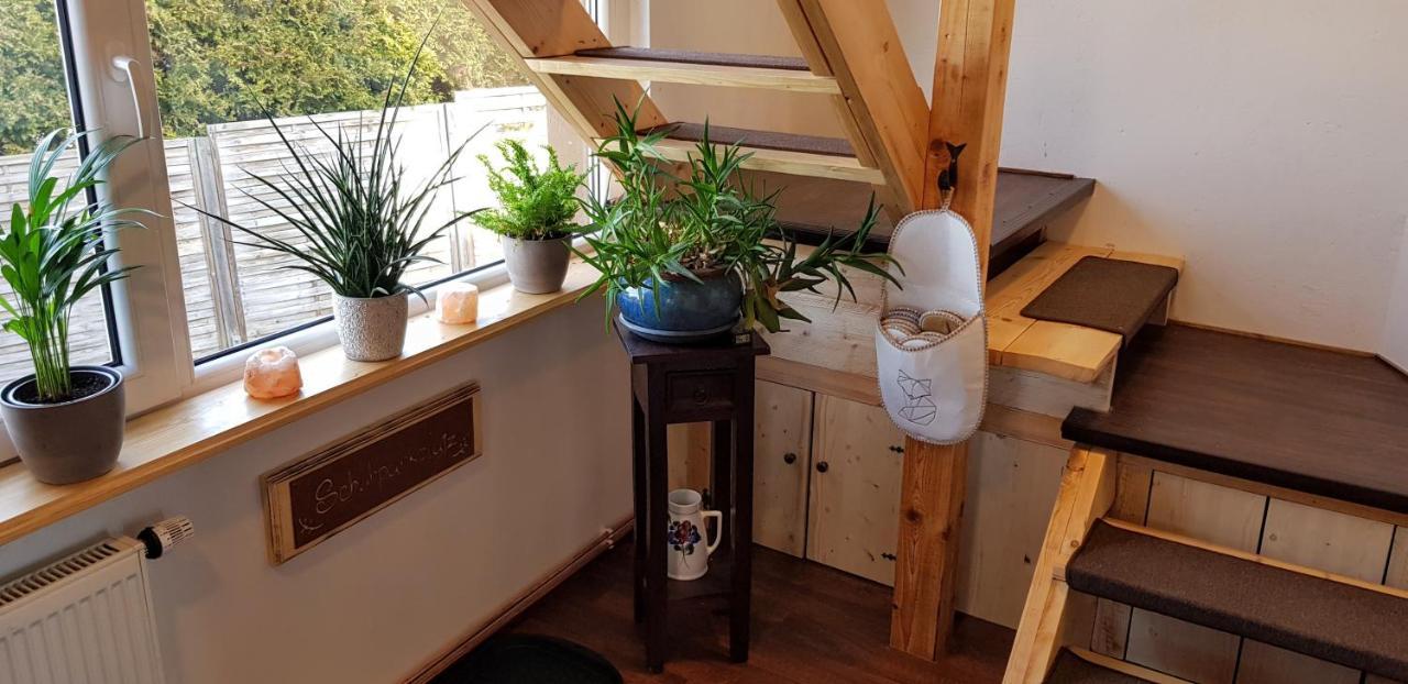 Ferienwohnung Malu Sol Im Harz - Stilvoll, Gemuetlich, Tierfreundlich - Mit Garten อัลโรเดอ ภายนอก รูปภาพ