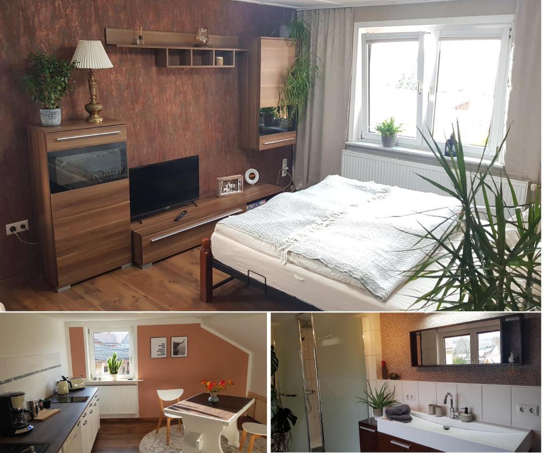 Ferienwohnung Malu Sol Im Harz - Stilvoll, Gemuetlich, Tierfreundlich - Mit Garten อัลโรเดอ ภายนอก รูปภาพ