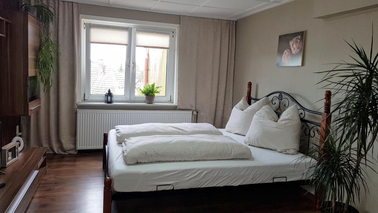 Ferienwohnung Malu Sol Im Harz - Stilvoll, Gemuetlich, Tierfreundlich - Mit Garten อัลโรเดอ ภายนอก รูปภาพ