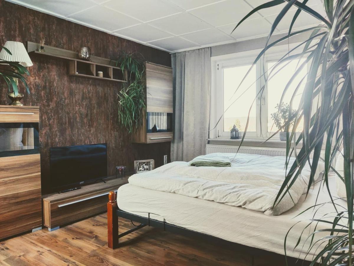 Ferienwohnung Malu Sol Im Harz - Stilvoll, Gemuetlich, Tierfreundlich - Mit Garten อัลโรเดอ ภายนอก รูปภาพ