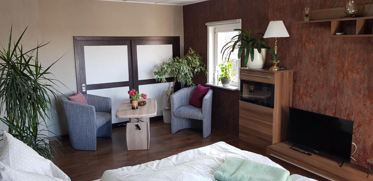 Ferienwohnung Malu Sol Im Harz - Stilvoll, Gemuetlich, Tierfreundlich - Mit Garten อัลโรเดอ ภายนอก รูปภาพ